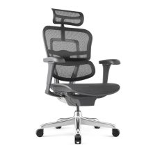 Ergohuman Project II forgószék