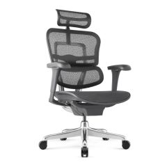 Ergohuman Project II forgószék