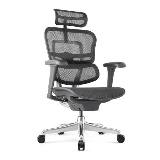 Ergohuman Project II forgószék