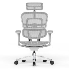 Ergohuman Project II forgószék - Szürke váz