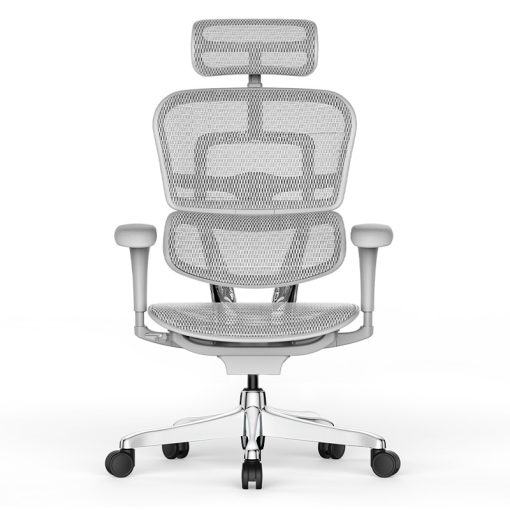 Ergohuman Project II forgószék - Szürke váz